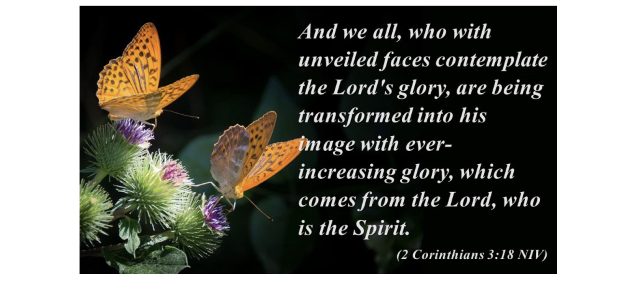 18B2743E-2921-4BAD-B5B9-EBB2EE679C20