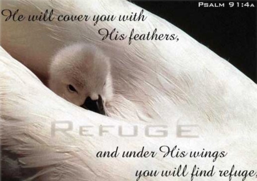 2A119EB9-4644-404D-BE49-41E8454BF1CB