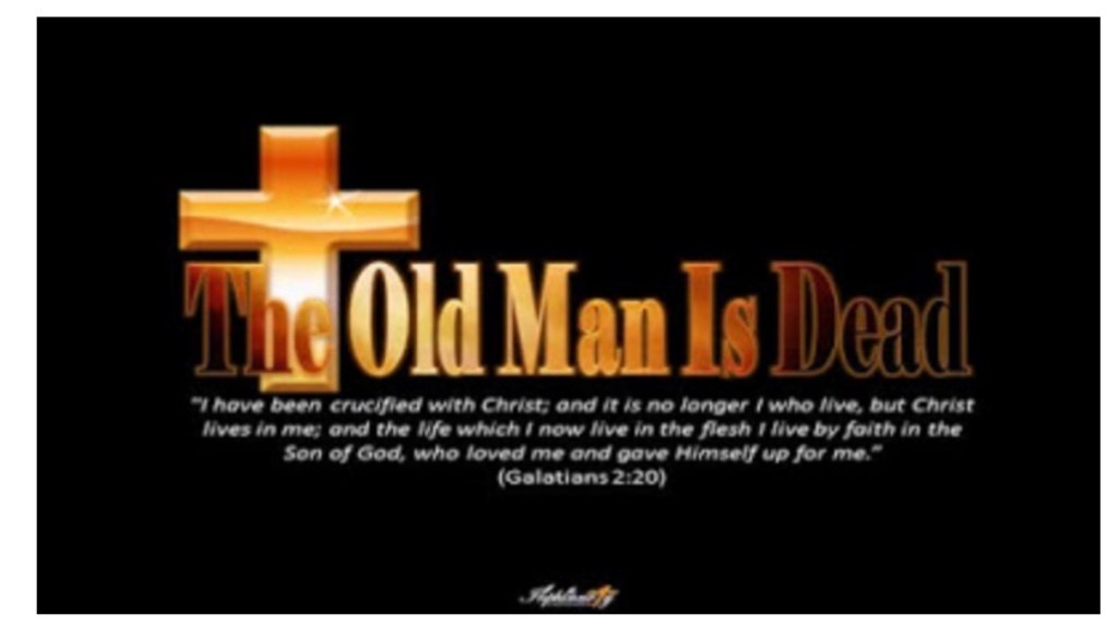 No Longer Disciples: SONS AND DAUGHTERS