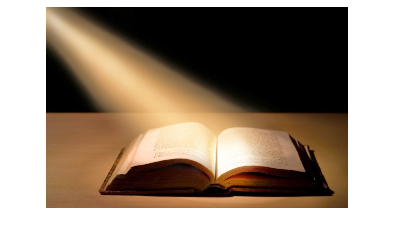 1D4F5DA3-D16D-4ECC-8527-3B6954F0B8E9