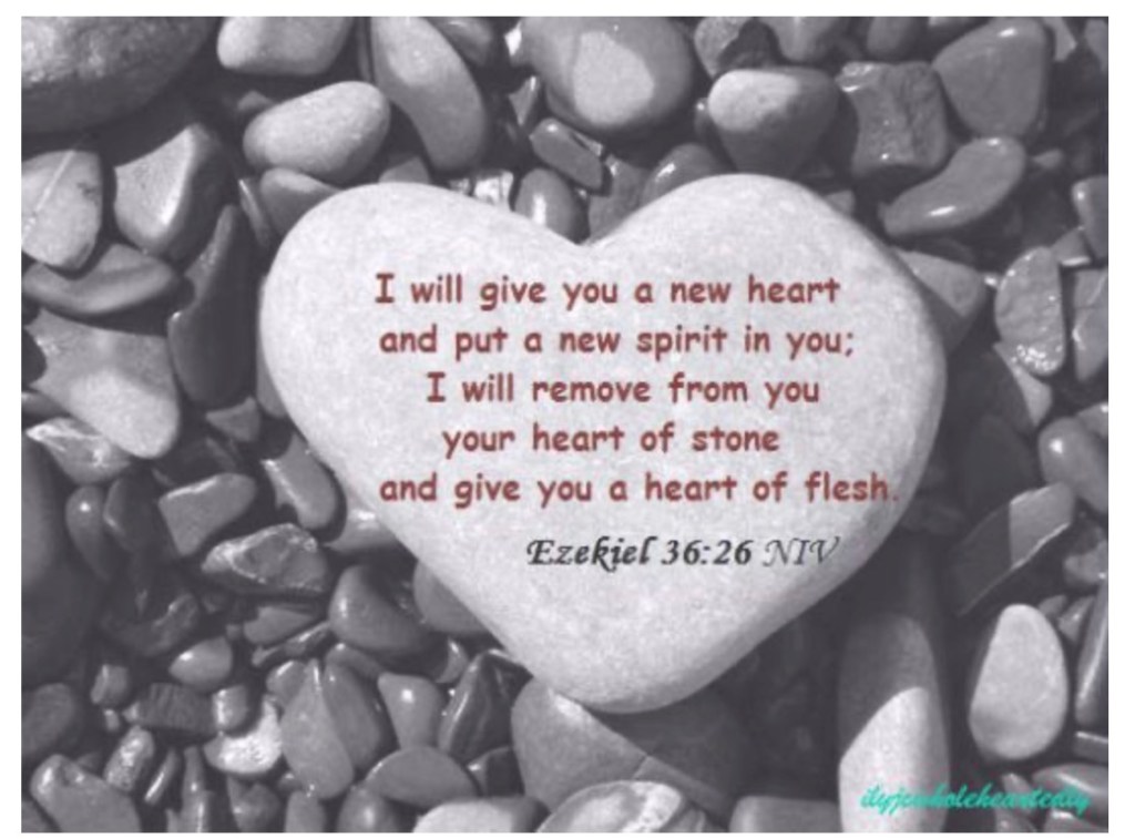 Who Needs The&nbsp;Law?