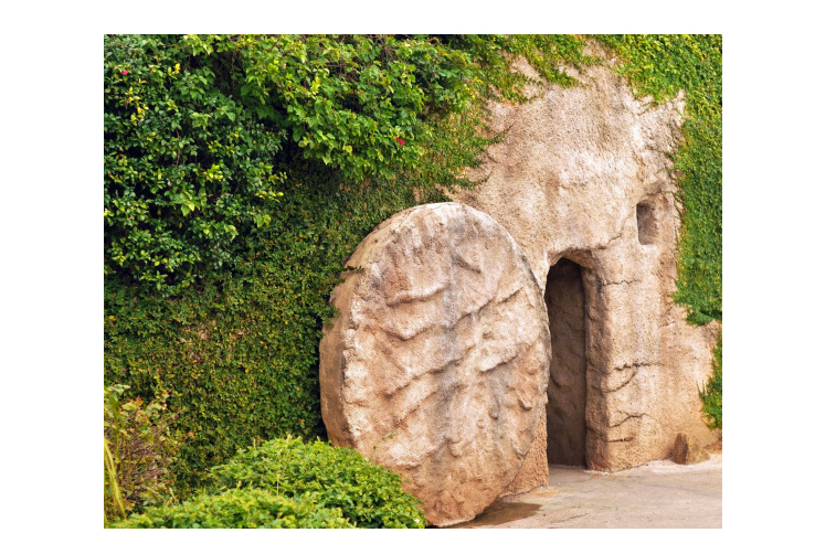 0E2ED813-5948-48AB-A96D-C7263F1BD709