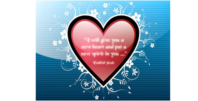 0EAFAA0F-08BC-45EB-98C2-C57C9DD0B288