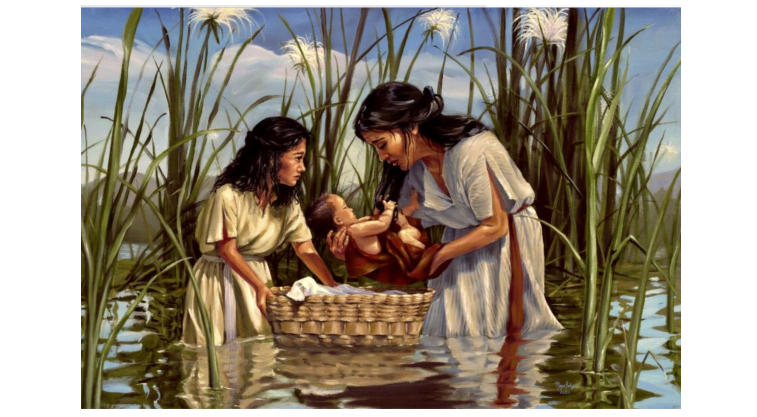 0F8BB6C8-DAC9-415D-8981-FD1D20FA0353