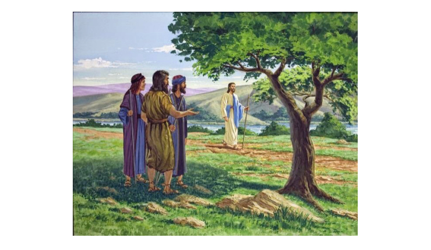 66EDF262-799A-4949-88E1-793182DDBA14