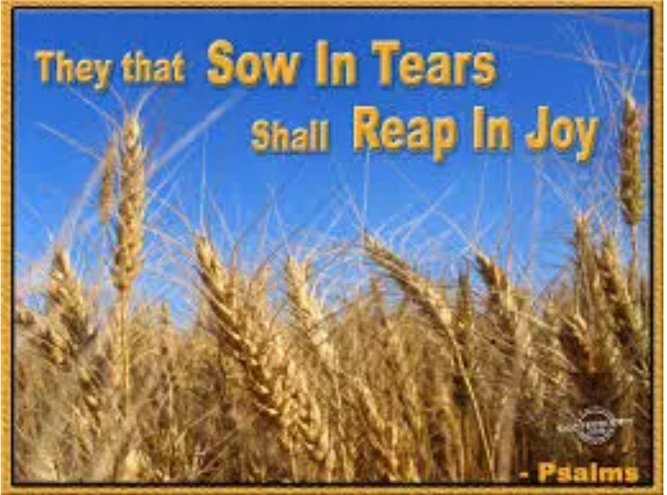 Sowing And Reaping