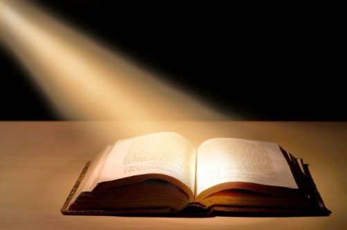 c68b9-word2bof2blight