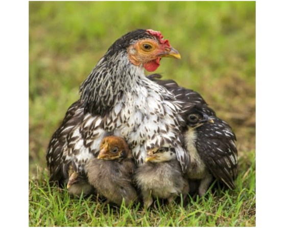 B4754C30-5D4F-4027-A420-458A4975C95B