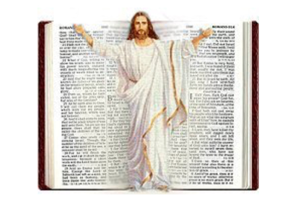 BC571CA5-3B9A-46D4-948E-D61DED8131C9