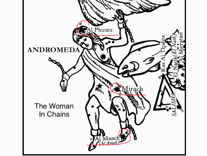 DF78BB8D-7B2C-4AD0-AE87-CF7302B88960