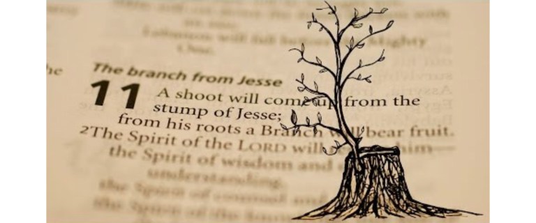 110D5188-9E2B-4D87-BBD4-02B99178750F