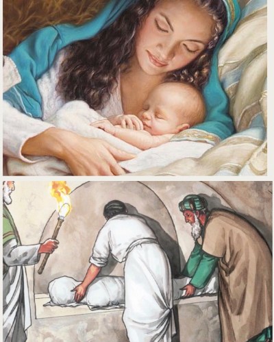 1502E692-E48D-4452-BD22-E04FBE4E7E1E