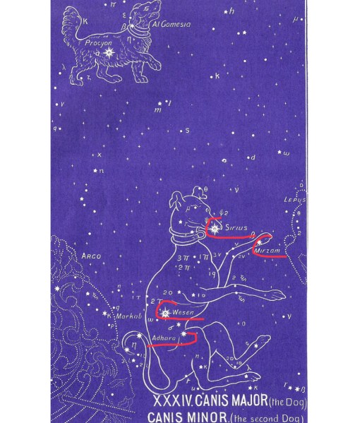 22644B3C-B064-4CF1-8A2E-2DD0EEEE4B7A