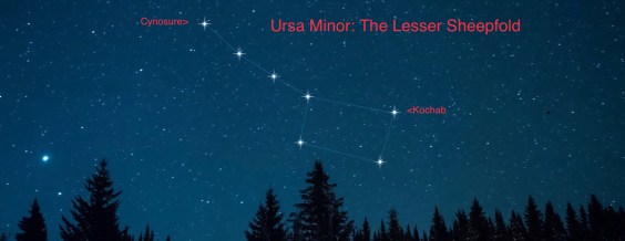 C83566C7-60AB-42A8-B693-93540D6D2335