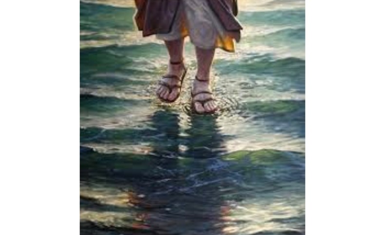 EC9A8425-02FB-4310-BD3F-A21693F6DEF7