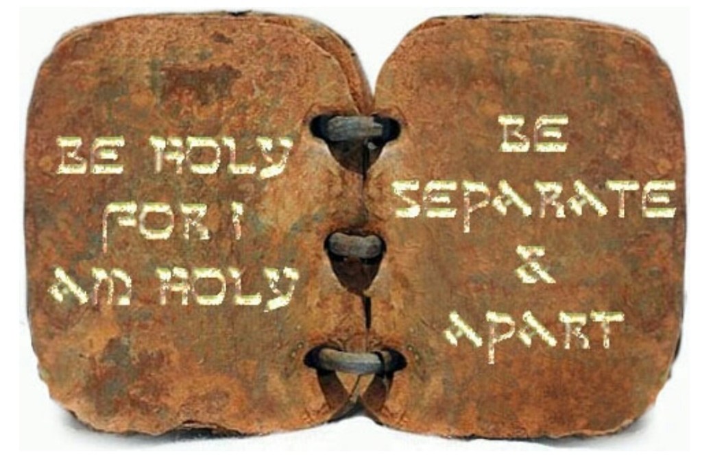 The Opposite Of&nbsp;Holiness.