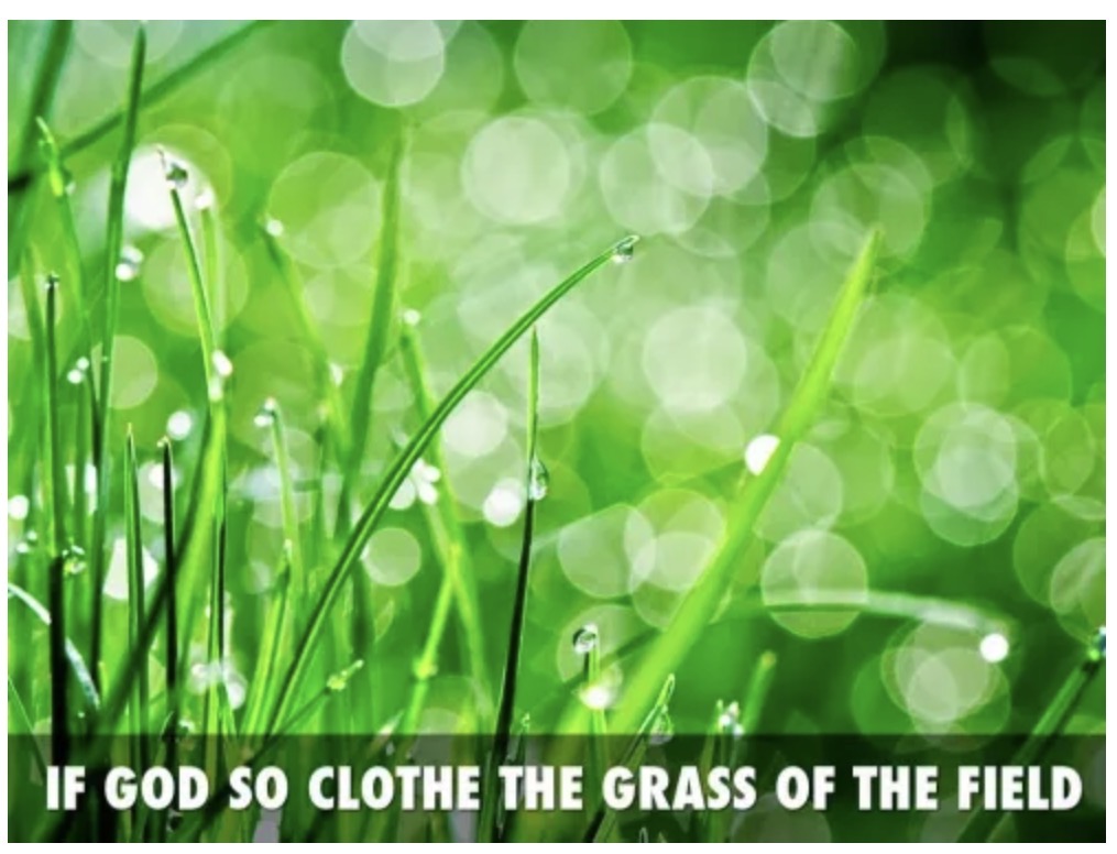 O Ye Of Little&nbsp;Faith.