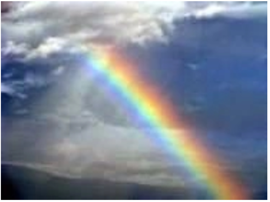 The Covenant Of The Rainbow:  Flood Series Part&nbsp;5.