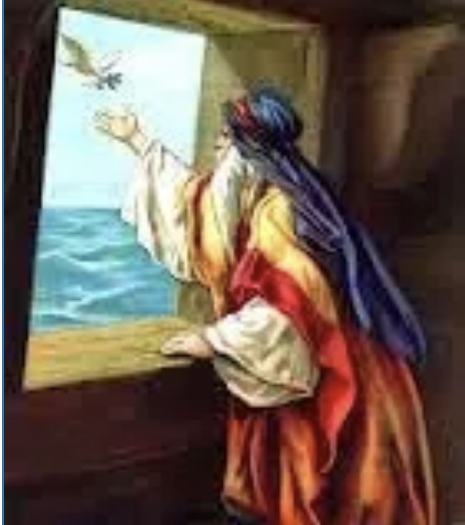 The Dove And The Olive Branch:  Flood Series Part&nbsp;4.