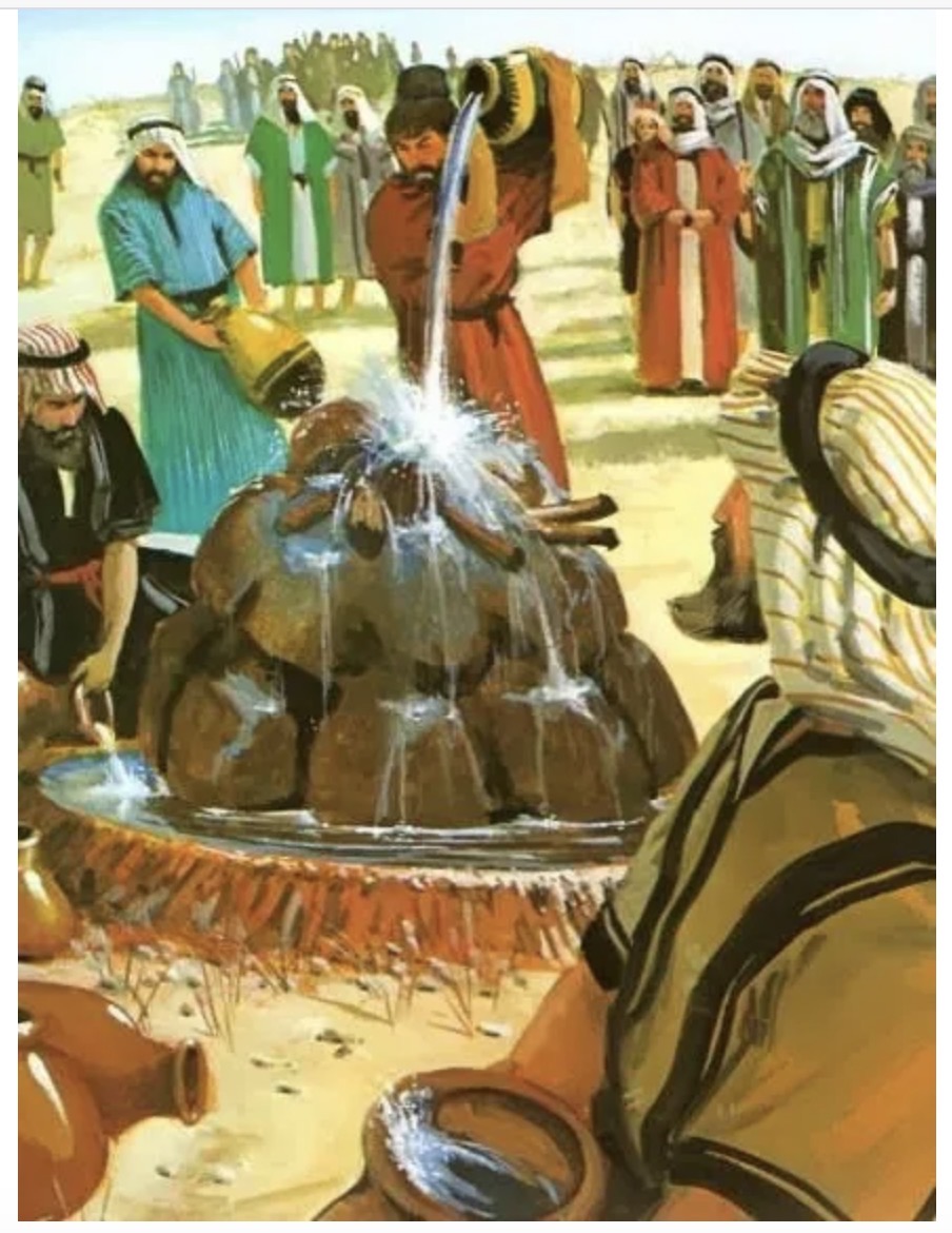 Our Lamb Was Not&nbsp;Consumed!