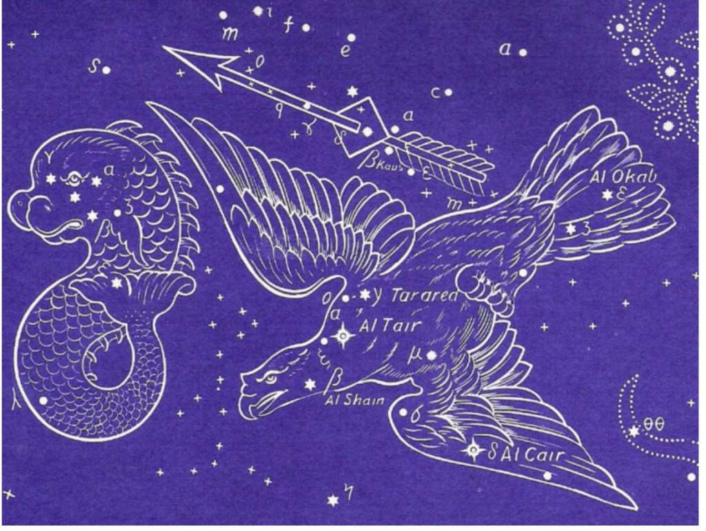 The REAL Story In The Stars Part 14:  Aquila, The Eagle&nbsp;Falling.