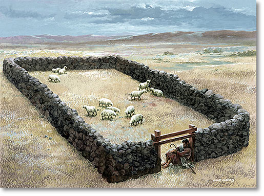 the door of the sheepfold