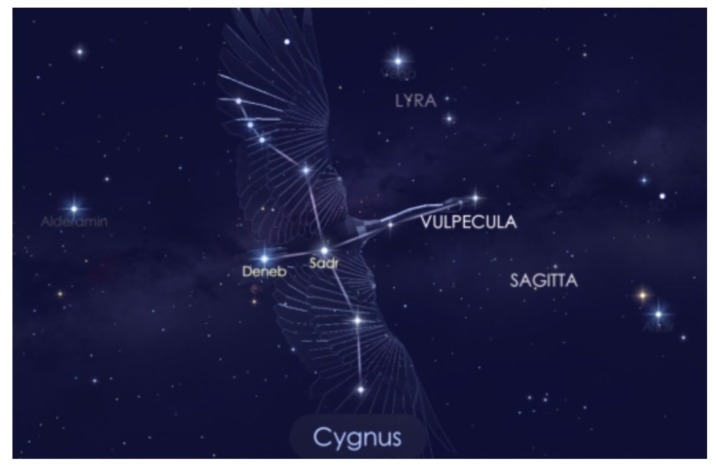 The REAL Story In The Stars Part 19:  Cygnus, The&nbsp;Swan.
