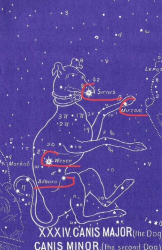 The REAL Story In The Stars Part 34:  Canis Major, The Greater&nbsp;Dog/Prince.