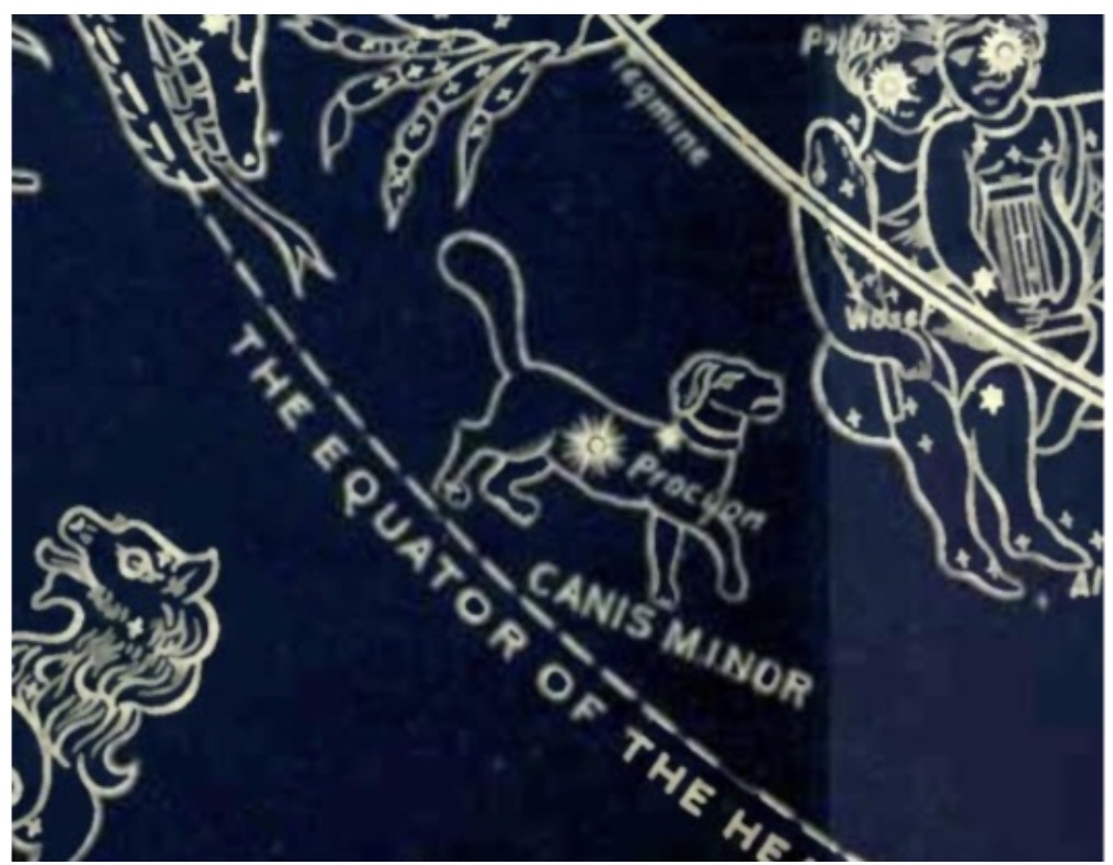 The REAL Story In The Stars Part 35: Canis Minor, The Lesser&nbsp;Dog.
