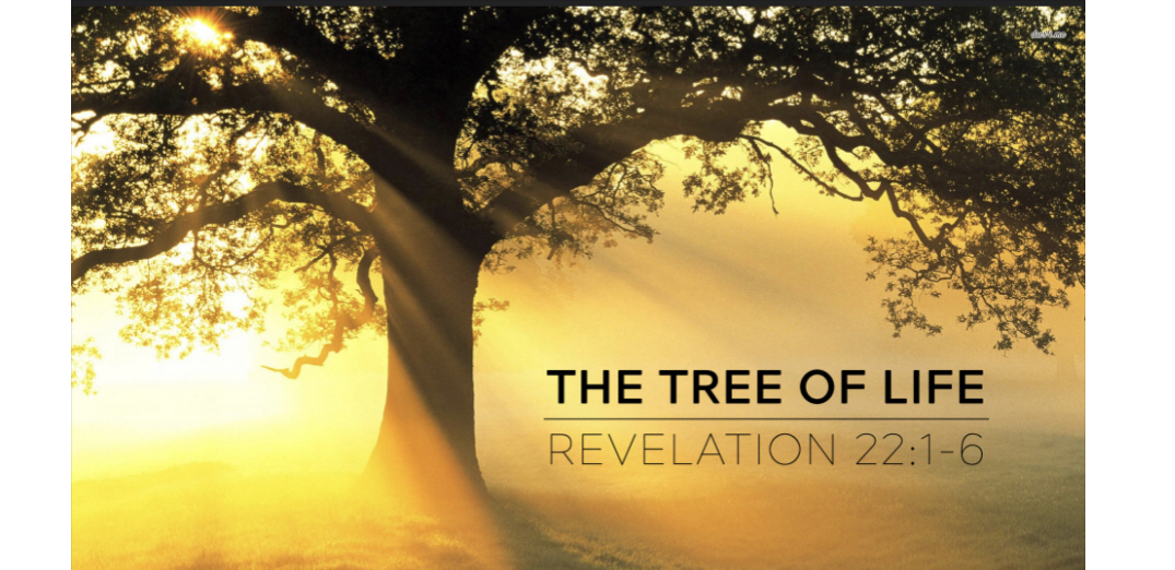 1F47A557-8137-4FA9-8B70-ED6537A38ABD