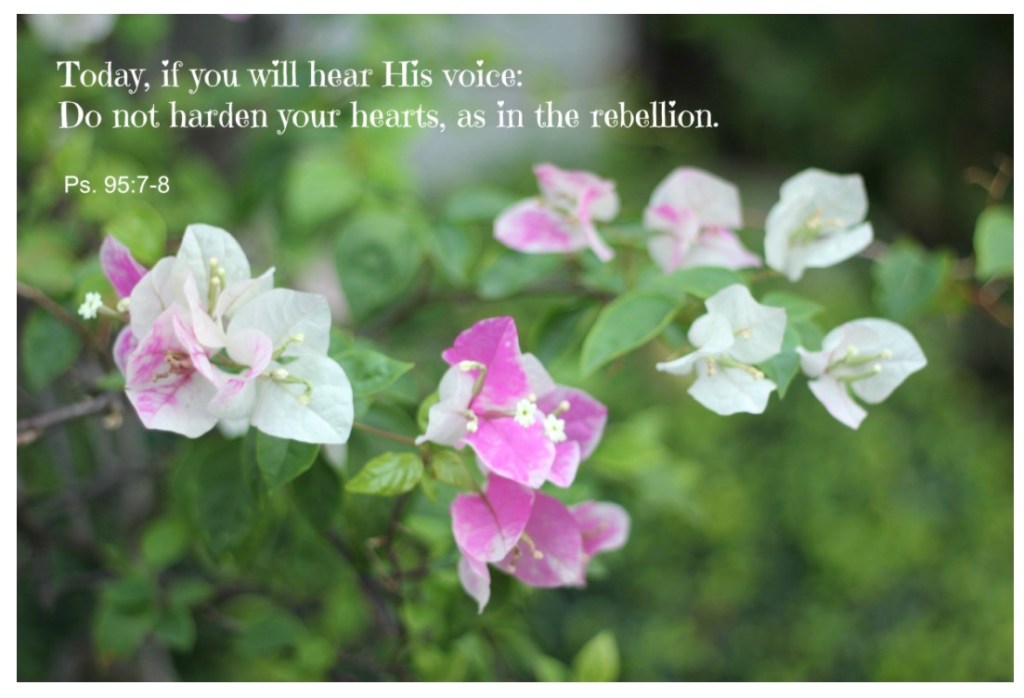 Faith To Come Out; Hesitant To Go&nbsp;In?