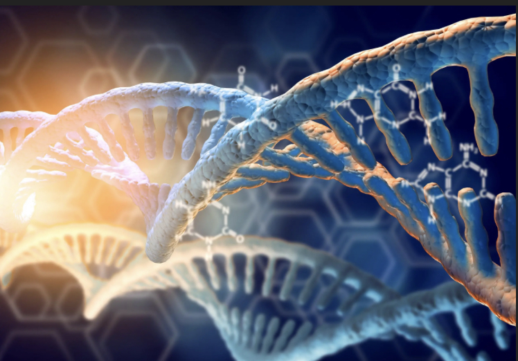 6B1DB2F7-7C4F-47E9-BCA9-97806F9F222E