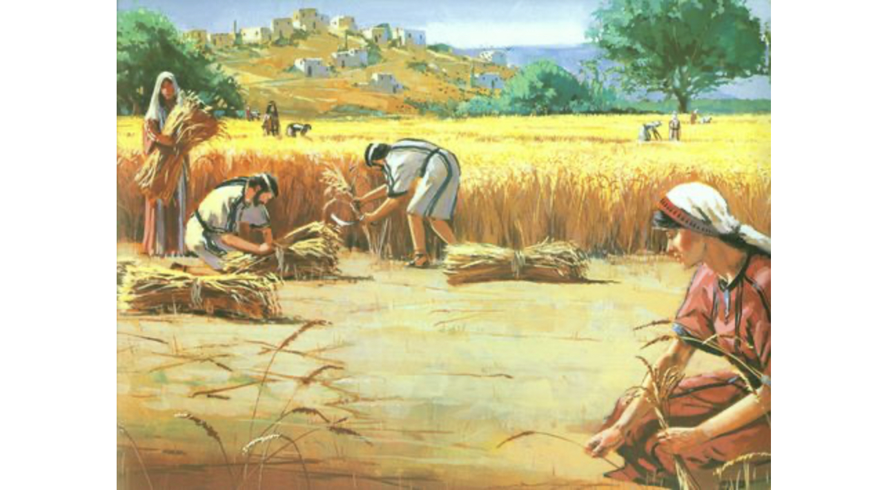 D057C6D7-9734-4FC0-A522-0007BA8631B3