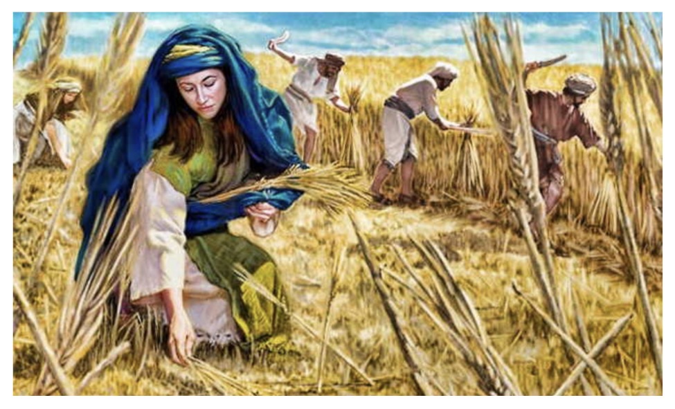 The Story Of Ruth Part 5:  The Law Concerning&nbsp;Gleaning