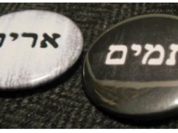 The Urim And Thummim: Part 6 of 7-High Priest’s Garment&nbsp;Series.