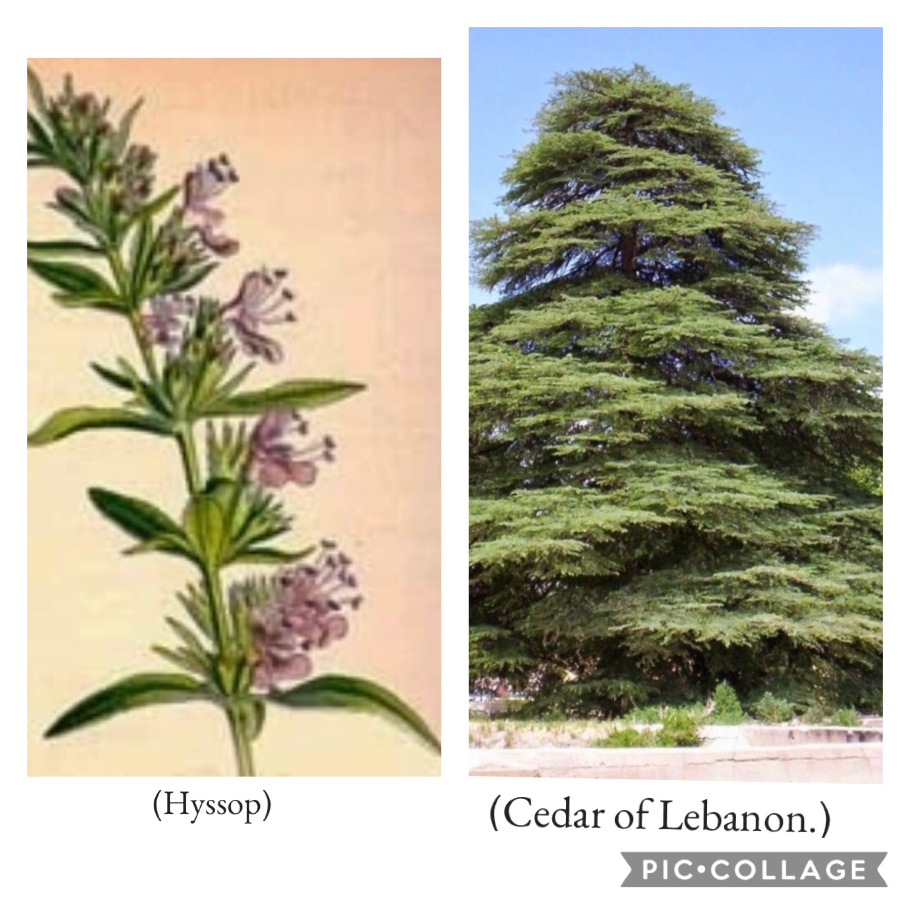 066C8BCD-A47F-49F4-8F27-E085FD190B55