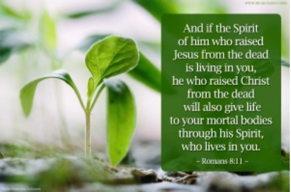 First-Born Blessing: Double Portion Of The Triune&nbsp;God!