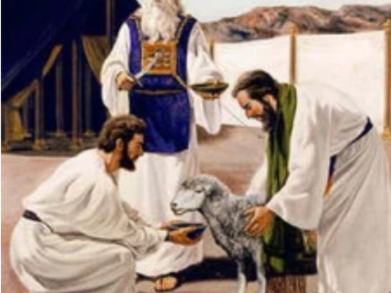 The Five Offerings Of Levitucs Part 8: The Sin&nbsp;Offering