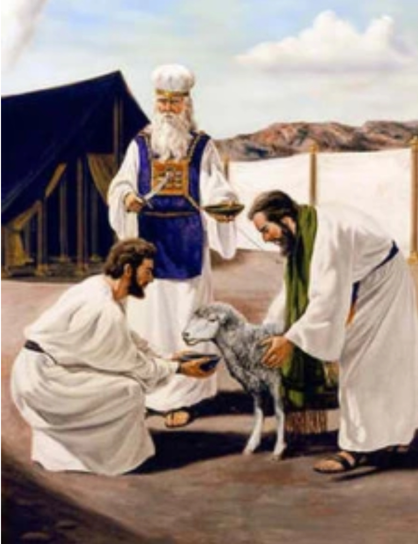 The Five Offerings Of Levitucs Part 8: The Sin&nbsp;Offering