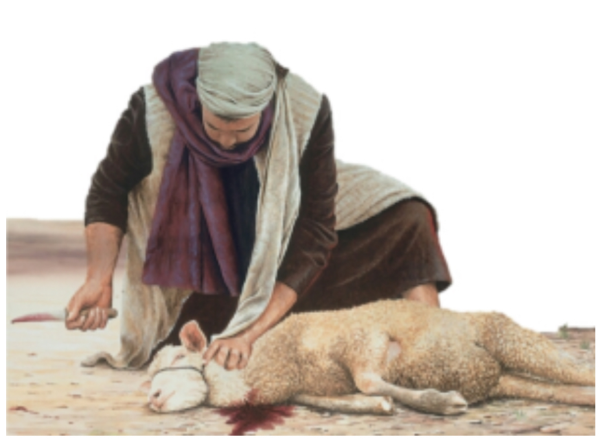 The Five Offerings Of Leviticus Part 4 of 10: Lamb Or Goat&nbsp;Offering