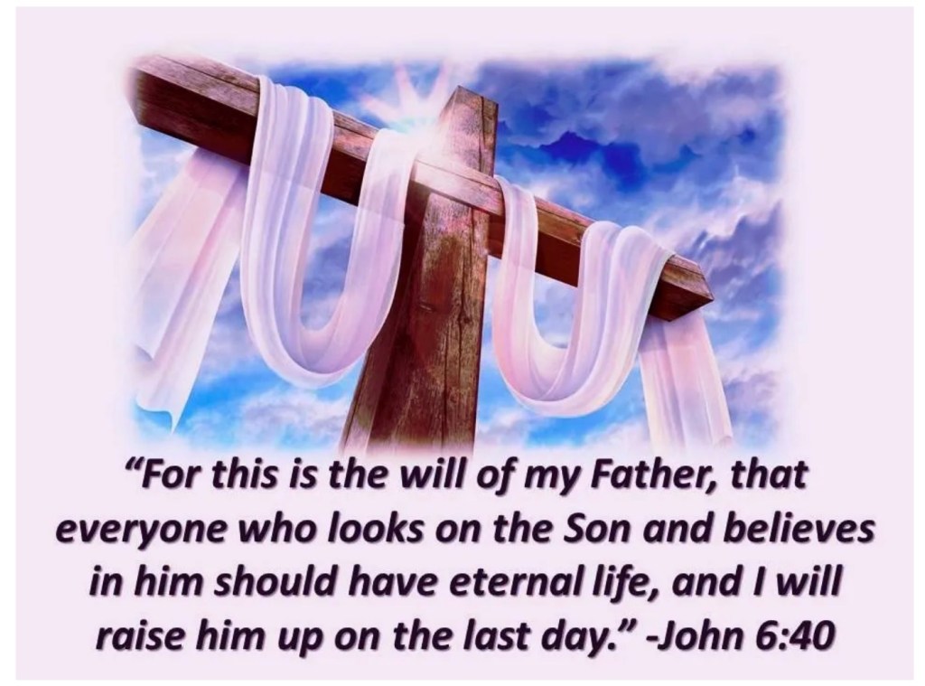 The Will Of The&nbsp;Father.