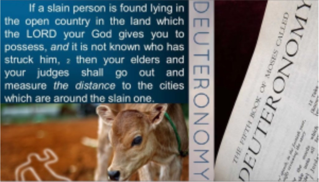 The Slain Man In A&nbsp;Field.