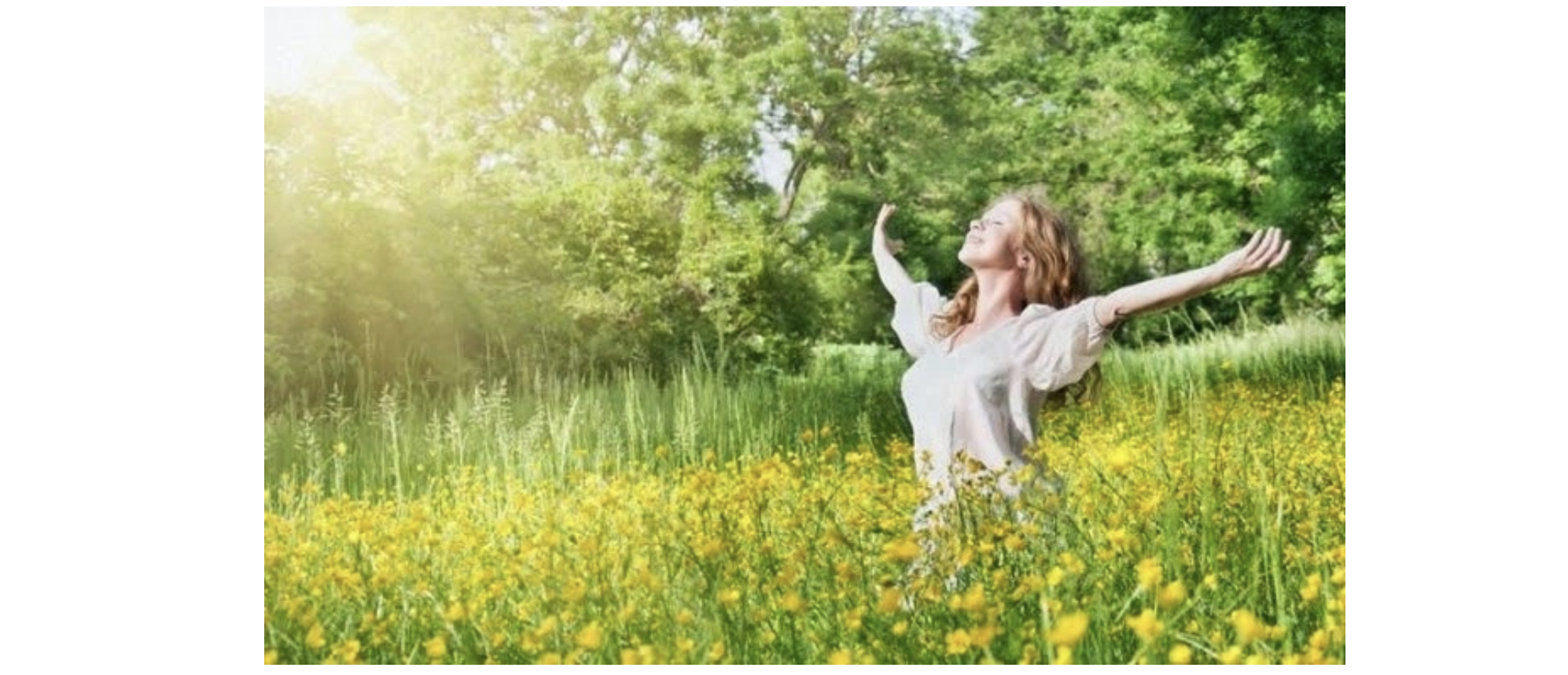 7e2f9aa5-df08-4041-bba1-0c43346be48a