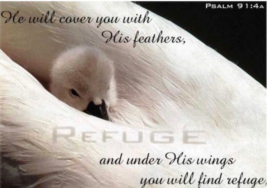 I Will SAY Of The Lord: Psalm 91 Series Part 2 of&nbsp;7.