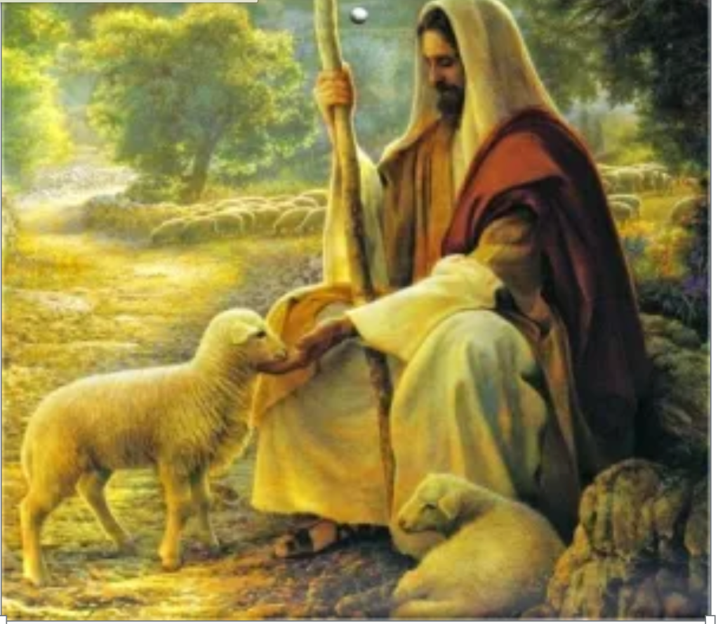 The Valley Of The Shadow