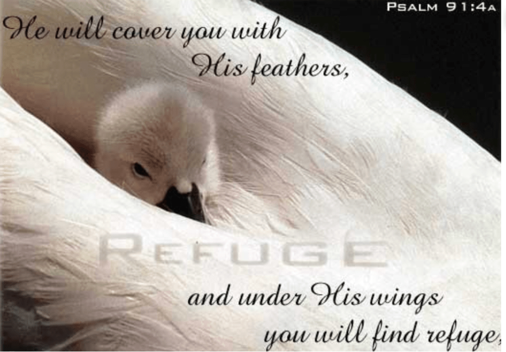 God’s Favorite Name.