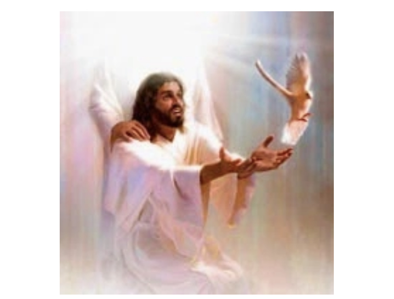 7876B112-5E60-4C59-9E40-C249EC338863