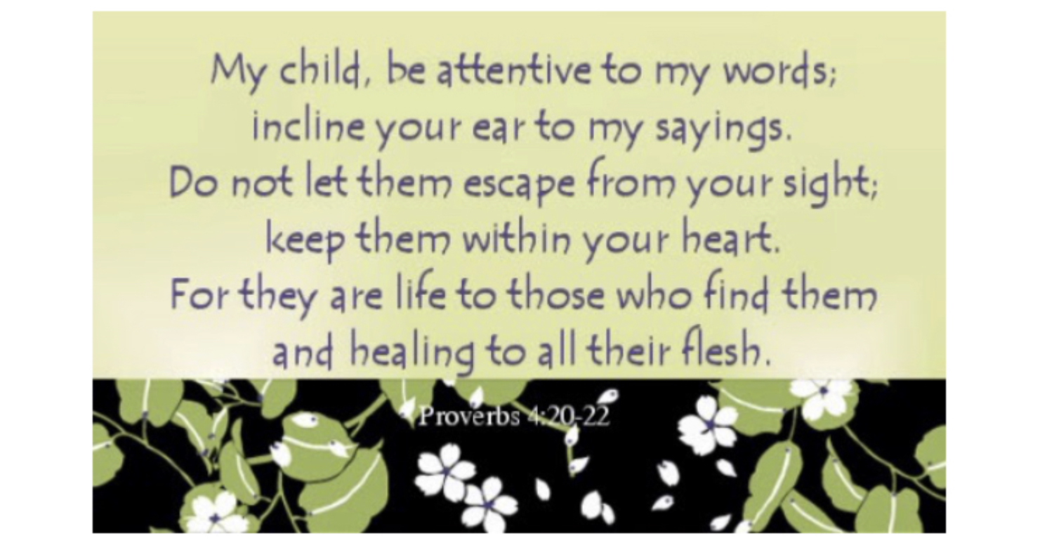 ACA8F170-9C95-4F52-A3C4-60A945AE71DF