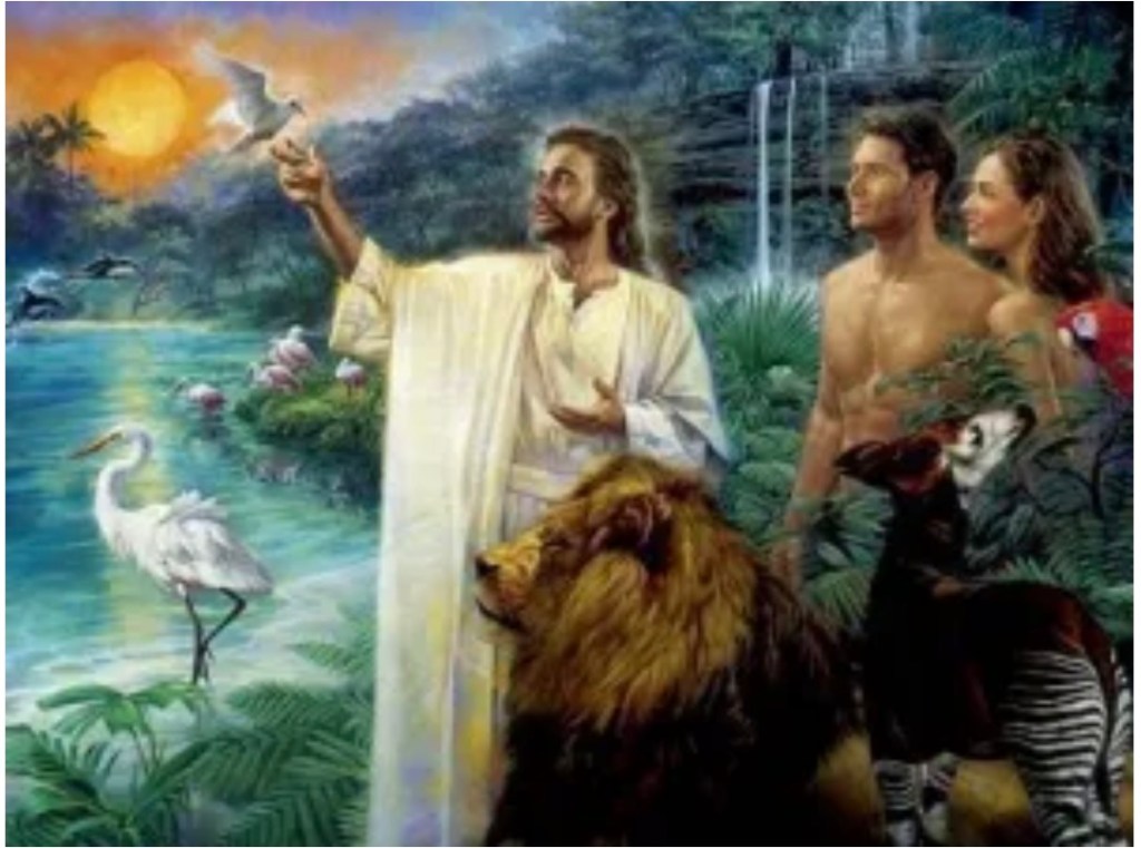 God Is Not The Author Of&nbsp;Disease