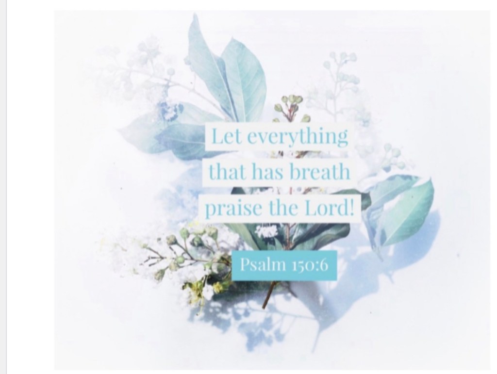 God’s Perfect Governing Plan: Praise!&nbsp;הללויה